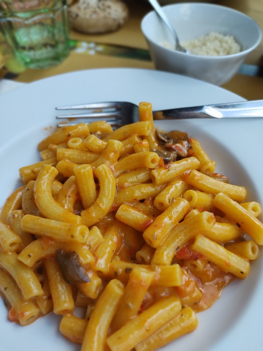 Al Manegheto Da Spada-2